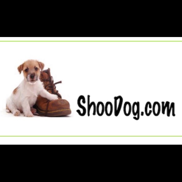 Meet your Posher, ShooDog - Picture 1 of 1